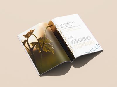 Angelus — Reflet n°6