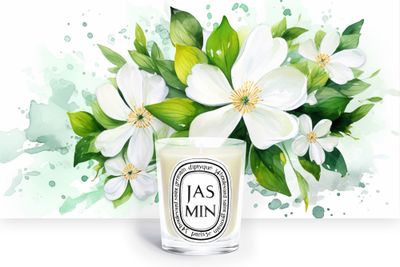 Diptyque PLV