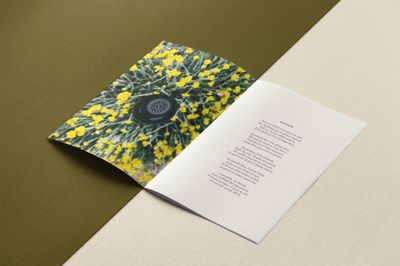 Immortelle
