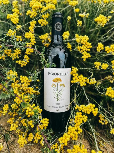 Immortelle