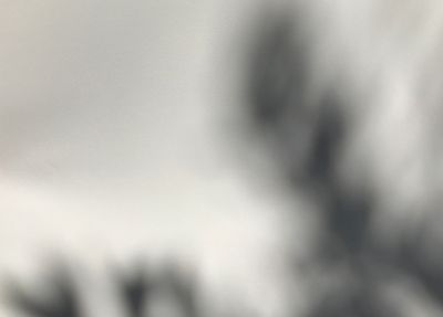 Les ombres