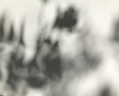 Les ombres