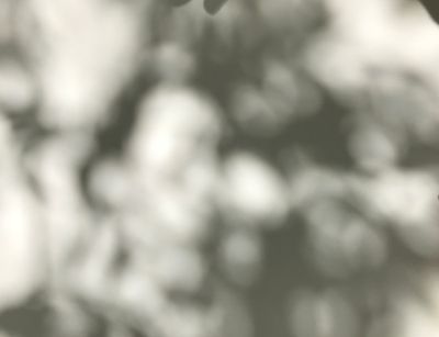 Les ombres