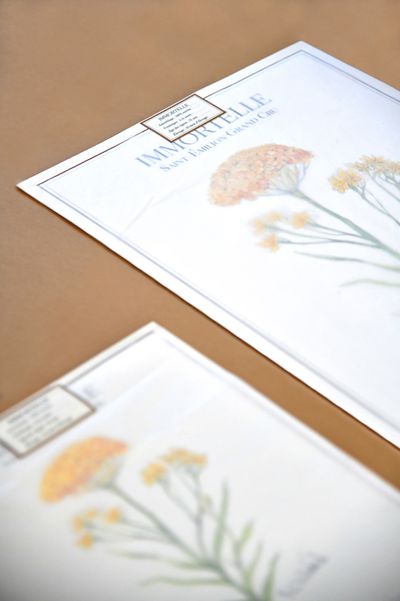 Immortelle