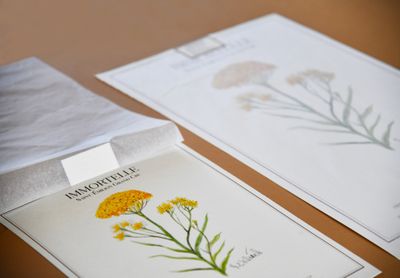 Immortelle