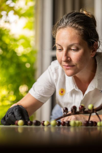 Logis de la Cadène — Chocolat