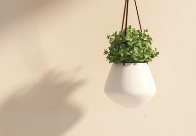 Studio Tandem — Les objets
